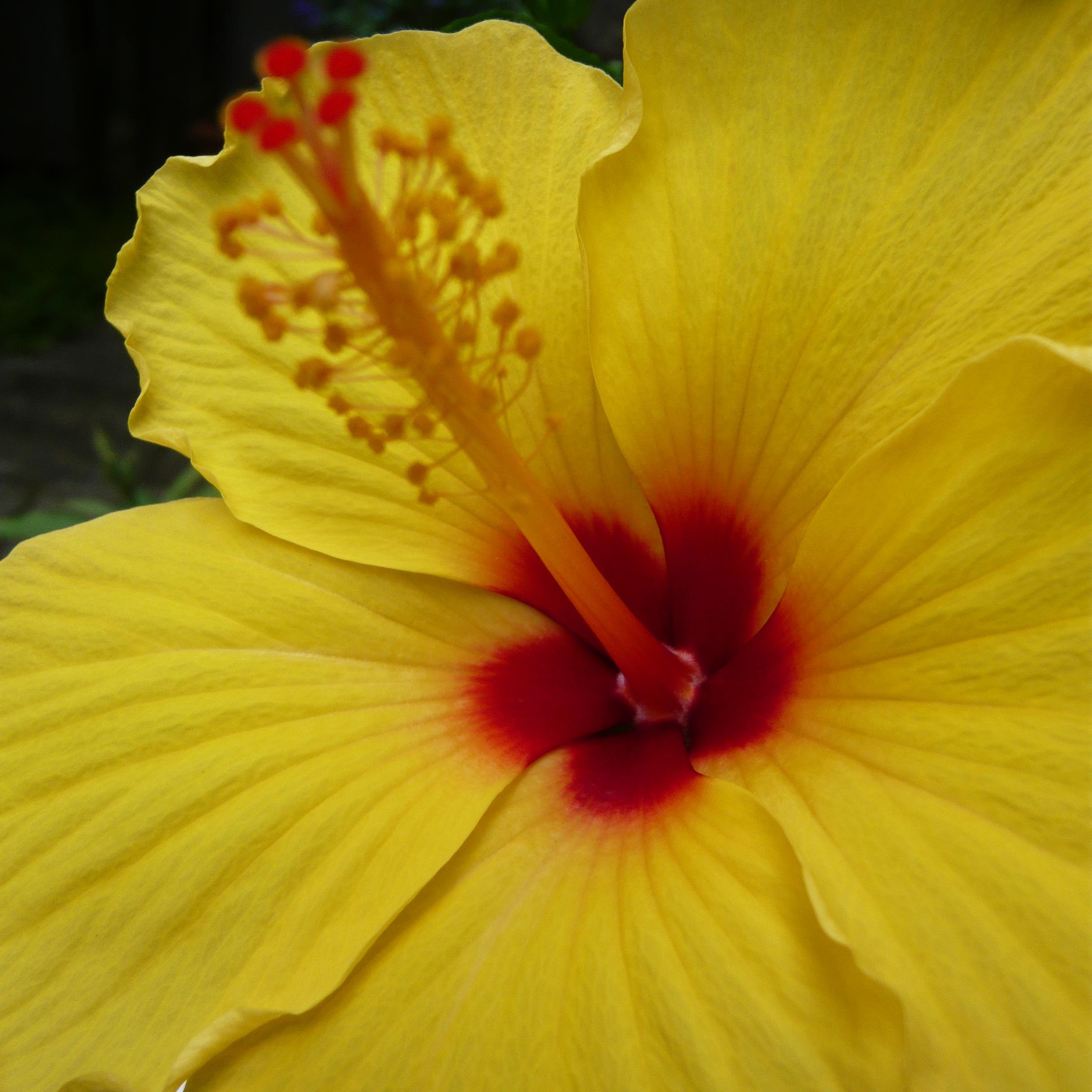 asukarhi's profile picture. 画像はキューバ、ハバナの革命広場、内務省前。ラテンアメリカとカリブの島々をラテンのスタンダードナンバーを歌いながら旅することが一生の夢。宜しくお願いします。 その他の興味・調理と栄養、暦と会計。本・映画など。