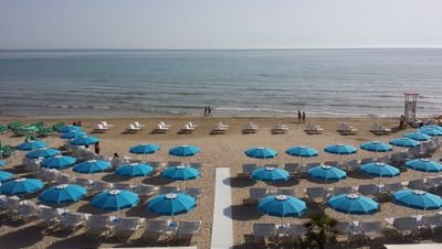 NevioArcageli's profile picture. 