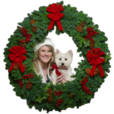 Christmas Forest began in 1976 when we sold our first Christmas wreath at Pike Place Market in Seattle. Now the business thrives -  loyal customers worldwide.