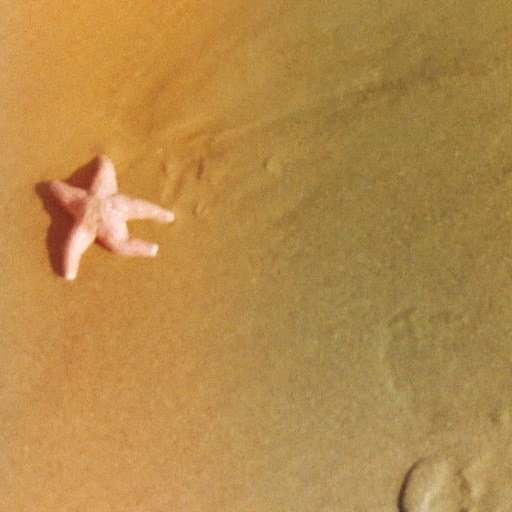 AnimalHours's profile picture. Animal Hours makes dreamy indie-pop songs draped in lush harmonies, wrapped in a blanket of Americana.