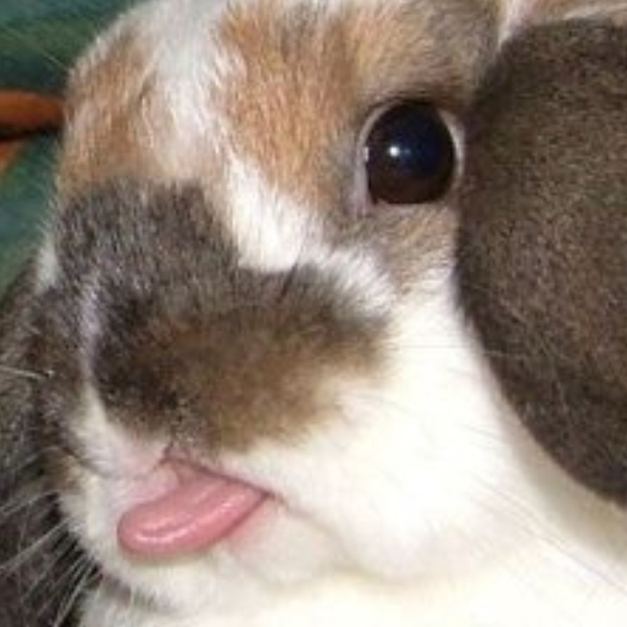 EmGanem13's profile picture. my life is the love of my life and love is my life