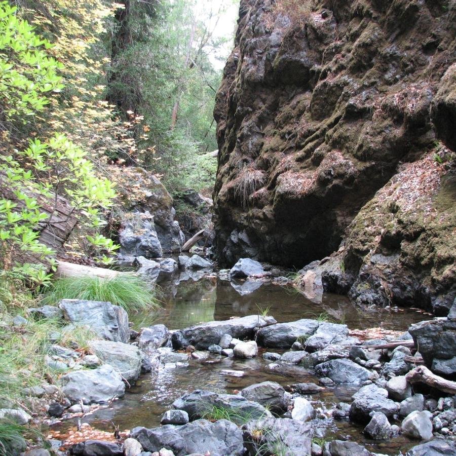 EastAustinBank's profile picture. 