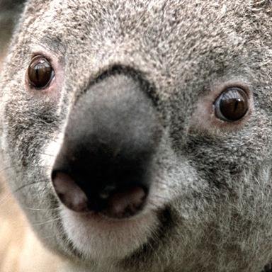 twitorrrch's profile picture. Это просто Хаус