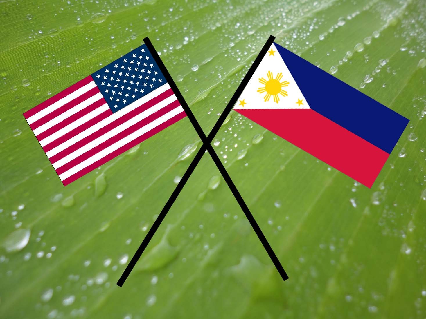 Green Breeze Imports helps typhoon Haiyan victims by importing high quality hand-crafted products from the Philippines.