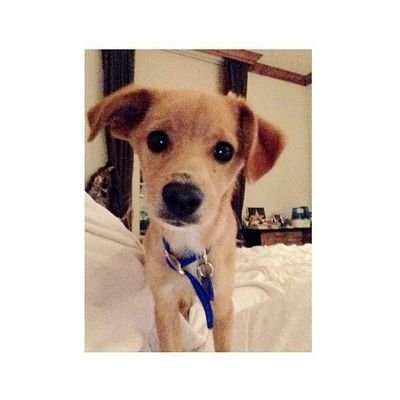 I love you Toulouse❤ you DA babe!
