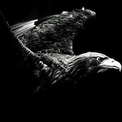 SunHaldiz's profile picture. 