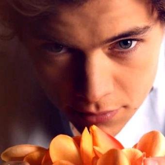 carrot_juice1D's profile picture. #HarryPotter #directioner #1DFamily #Mixer #PercyJackson go and follow my real twitter @olya_somebody