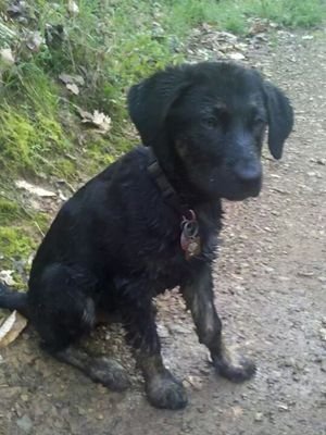 Papa_Lane_Westy's profile picture. 32 http://papa’s_home