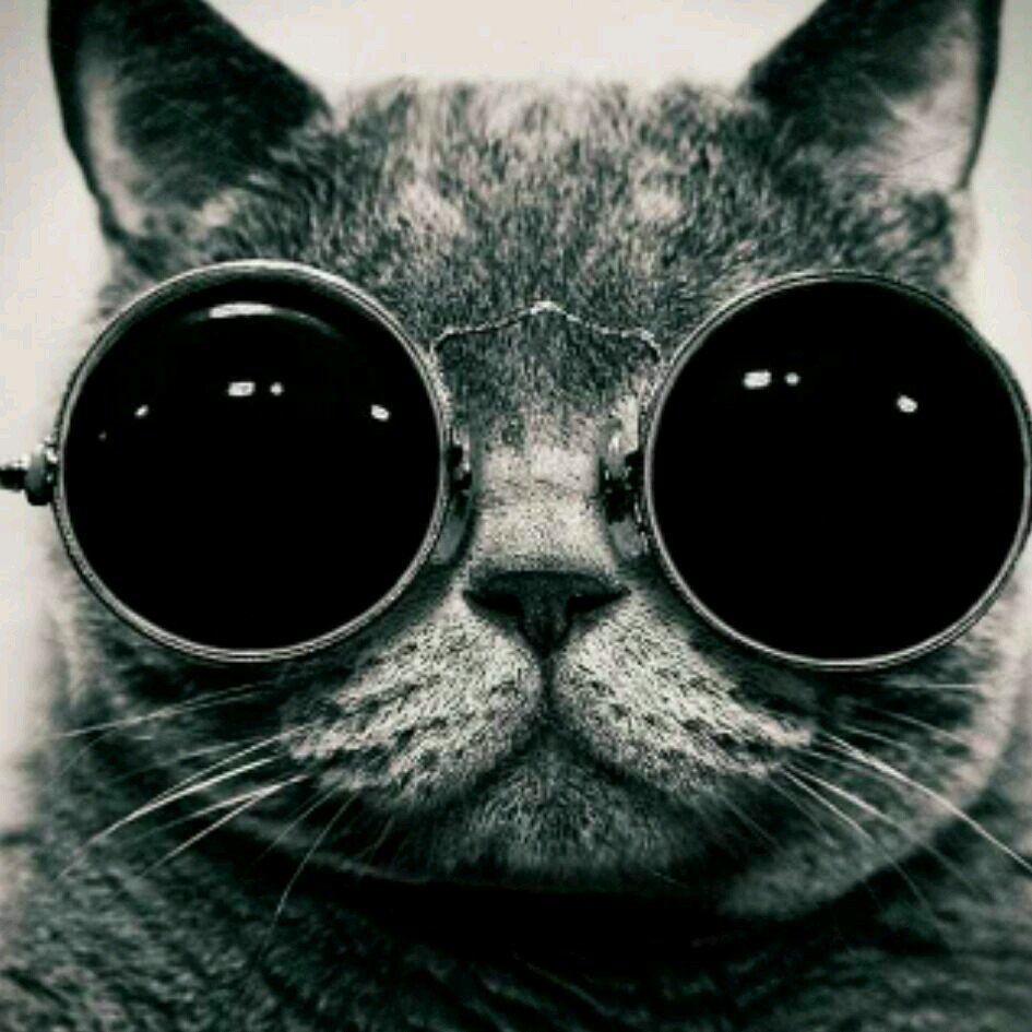 I follow back. ❤