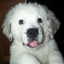 dawn noel - @2saintb - Twitter