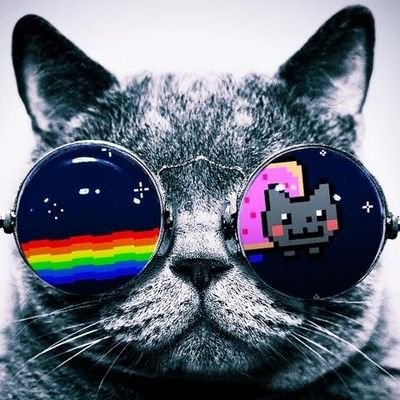me gustan los gatos obesos : 3 me gusta escribir poemas :3 me gusta el metal y hard Rock :3 me encantan los videojuegos :3