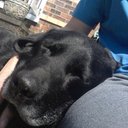 Lynne Mason - @lynnemason66 - Twitter