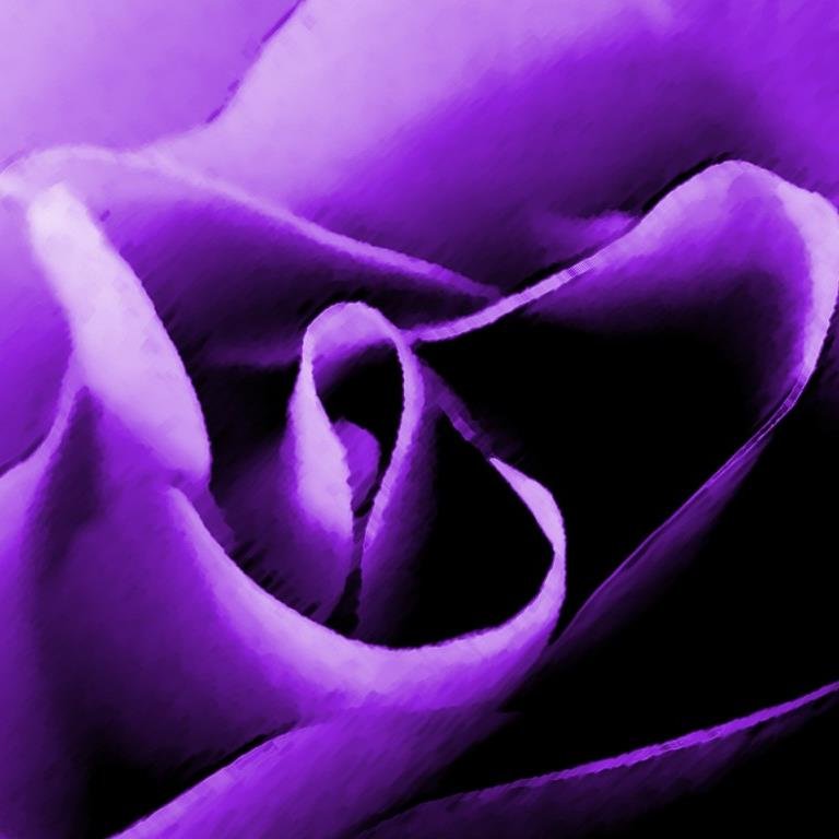 Avneet_Kaur0900's profile picture. A comic geek, crafter, internet surfer, big sister, and daughter!