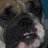 charmcitybecker's profile image