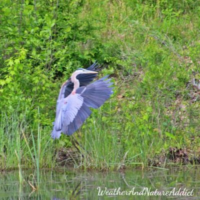 #Weather, #Nature, #Outdoors, #Photography. Photographer/Mom likes all things nature, weather, travel/outdoors Supports Our Troops! Proud of my hubby who served