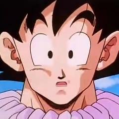 I'm Goku! I am an ally to good. I sworn to protect the Earth. Husband to Chi-Chi. Son to Gohan and Goten. (DBZRP)