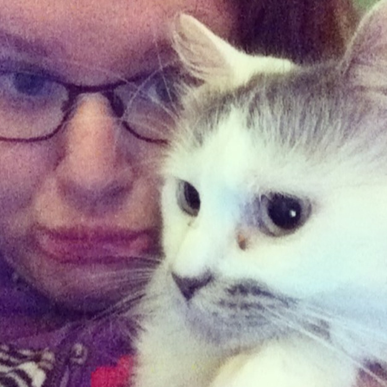 nomoreLGBThate's profile picture. im cam and i like girls 要 single 要proud lesbian 要 directioner