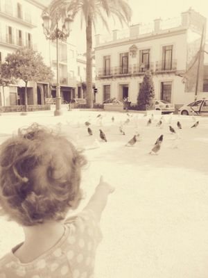 vmorente's profile picture. 