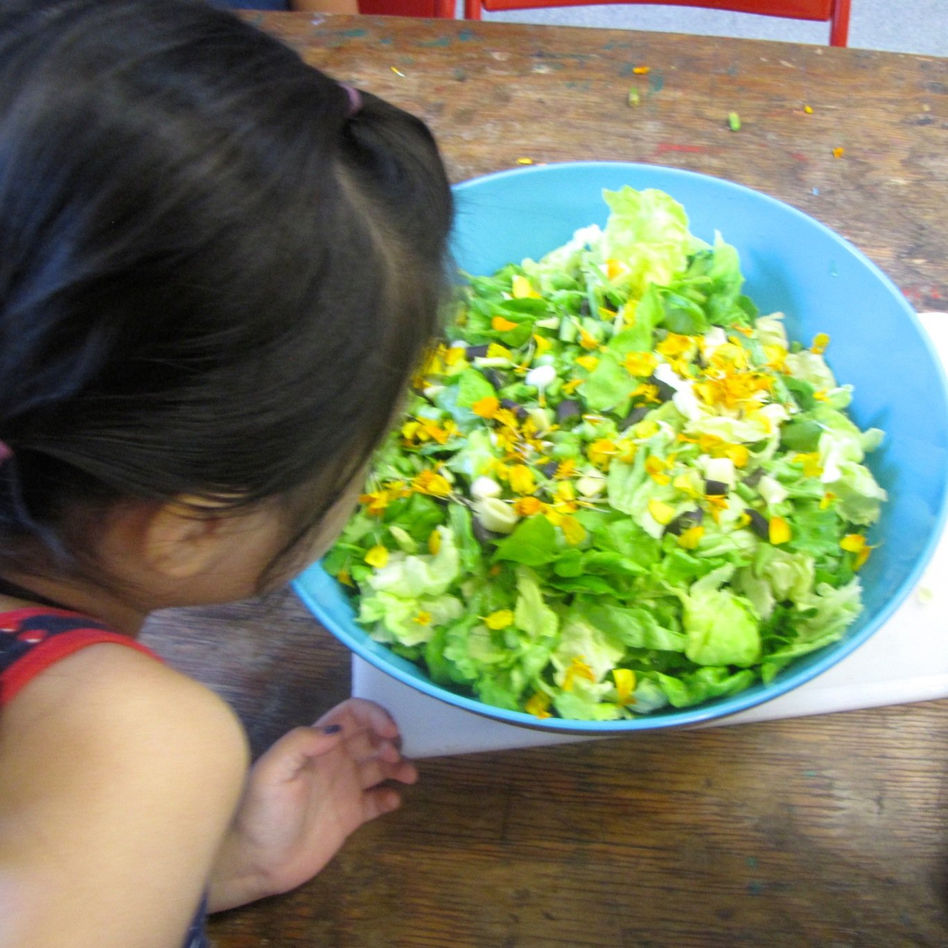 eating•cooking•promoting food literacy for children and their families