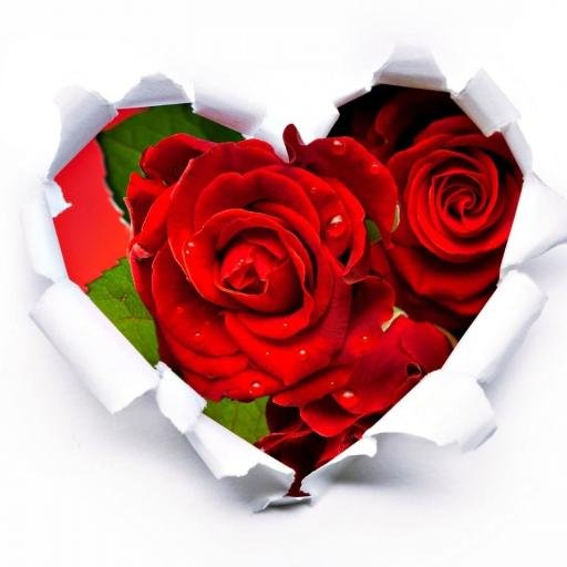 Mayyah99Tariq's profile picture. 