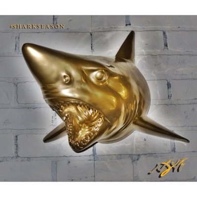 TheNyviLife's profile picture. Believing is only the beginning... #CEO of NyviApparel #apparel #thenyvilife #teamnyvi #redskins #Lakernation #NyviWave