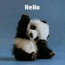 Anne Rutledge - @AnneRutledge13 - Twitter