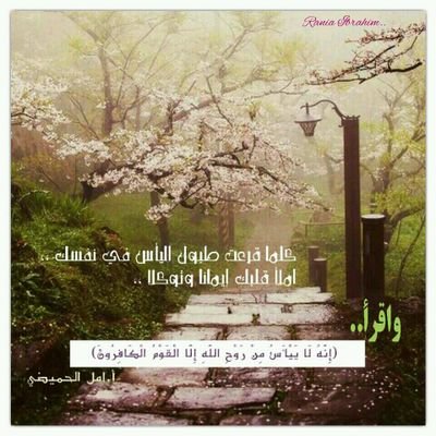رضيت بالله ربا وبالاسلام دينا وبمحمد صل الله عليه وسلم نبيا ورسولا  ( الخاص ممنوع )