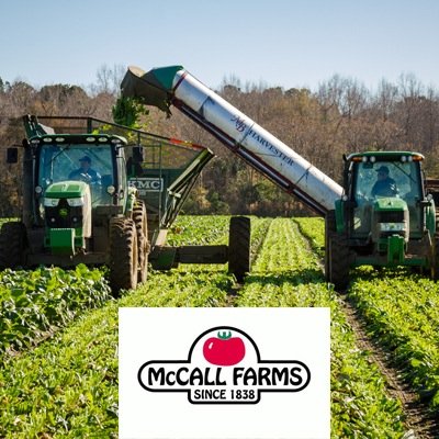 Thanks to a combination of gifted hands, dedicated employees, divine precipitation and a community populated with support, we prosper and continue to grow.