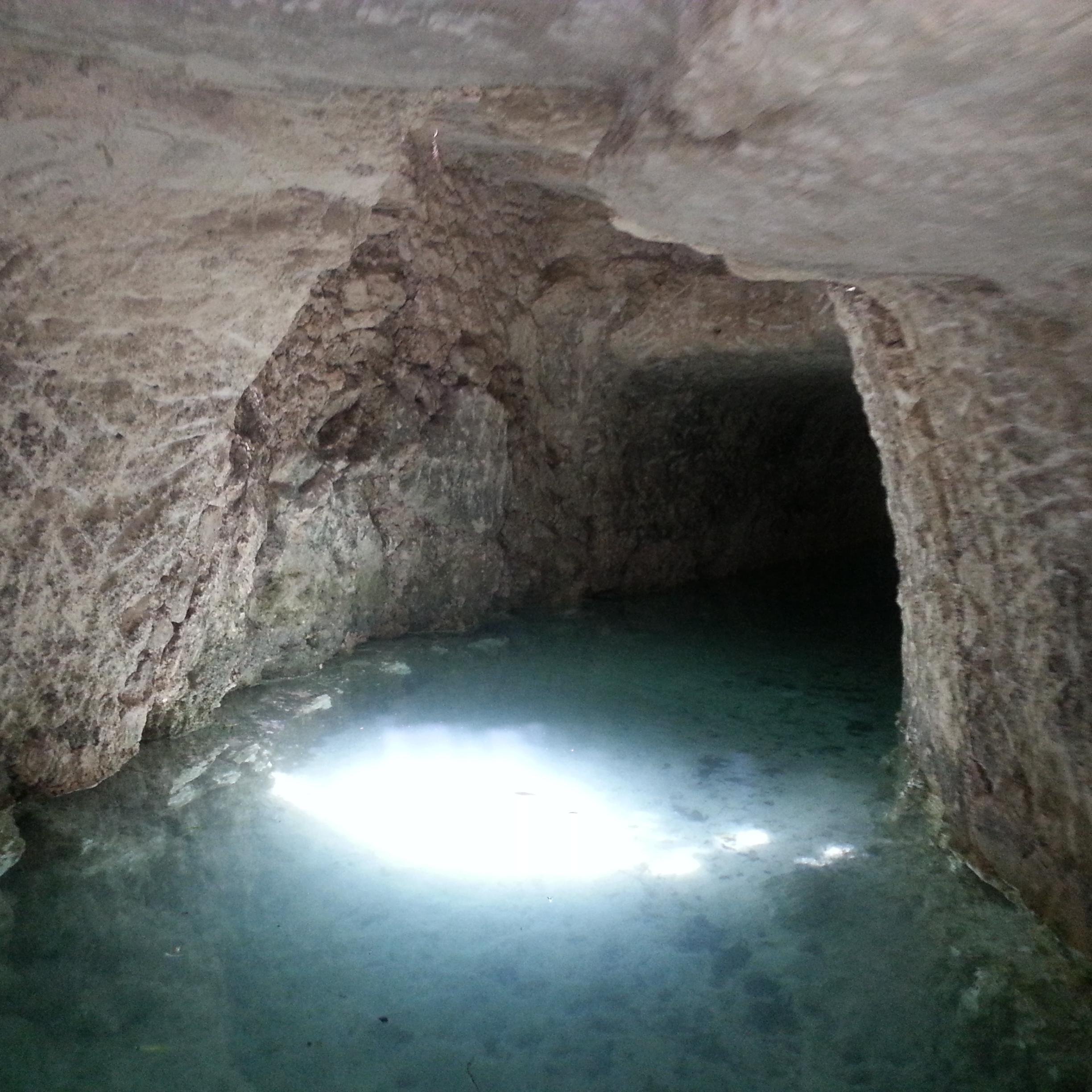 iecmagd's profile picture. 