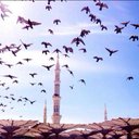 وقف لأروى العجلان ♡ (@0581K) Twitter