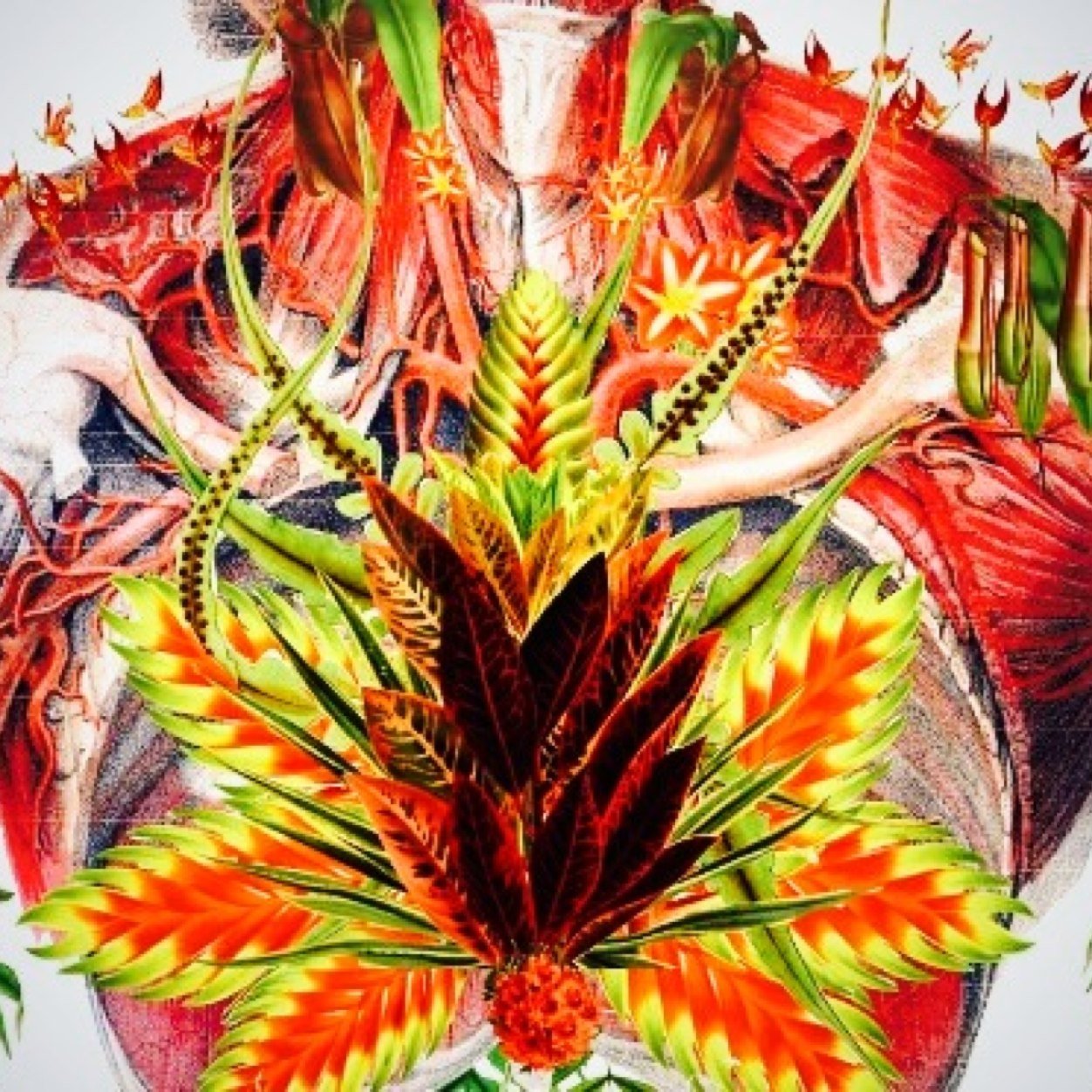GetSoHigh1's profile picture. I admire Cannabis