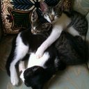 Lorna Helen Ogle - @LornaHelenOgle - Twitter