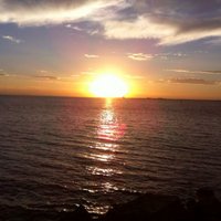 franziska trede (@tredefranziska) Twitter profile photo