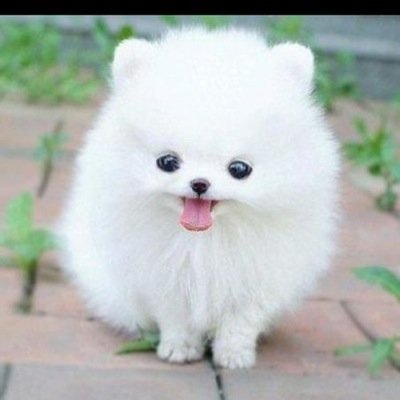 kitobcn's profile picture. Living in Morges, Switzerland