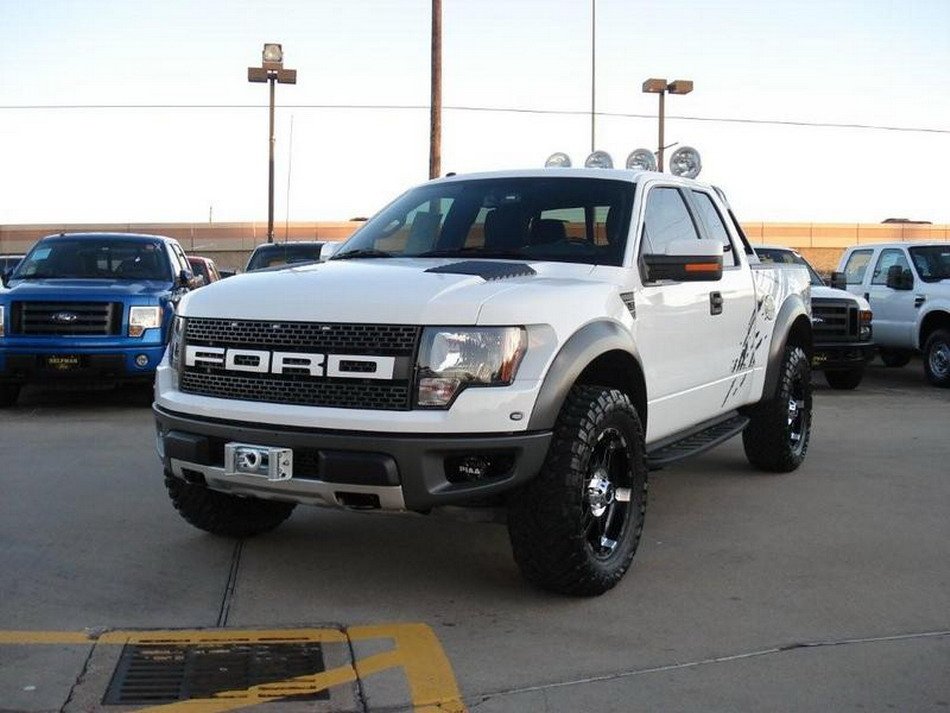 Raptor_Porn's profile picture. 