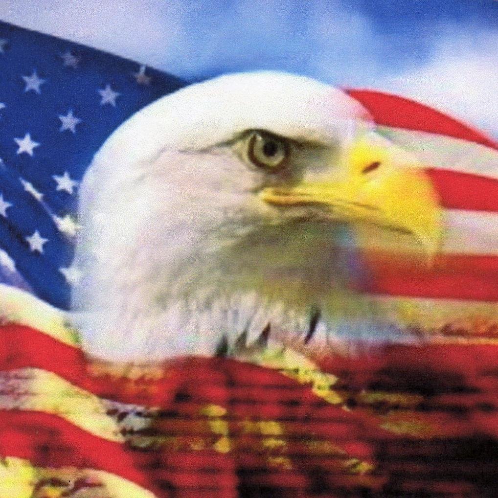 DraftRUSH2016's profile picture. The ONLY True Conservative That Can Defeat Hillary!