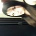 Asma (@asmadonaldson) Twitter profile photo
