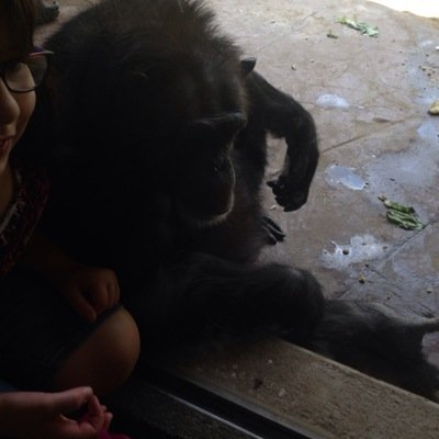mabry_dana's profile picture. Wife, mom, 1st grade teacher