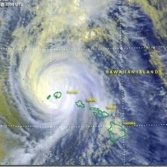 hihurricane's profile picture. Hawaiian