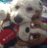 jdstarlight's profile image