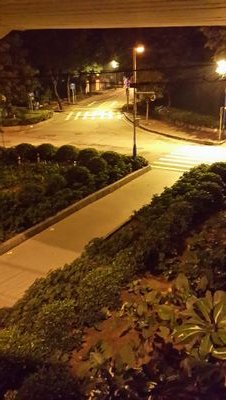 طالب مبتعث