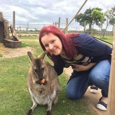 chazr1's profile picture. 