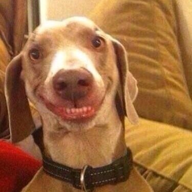 S4BIAN's profile picture. 