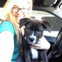 Nicky Harrington (@nicky_harringto) 's Twitter Profile