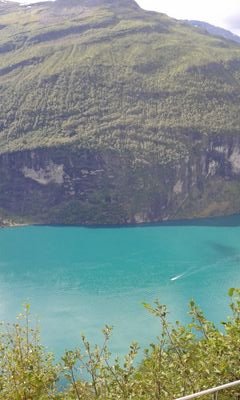 shlowe's profile picture. 