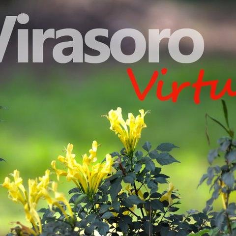instagram: virasorovirtual