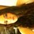 colldoll29's profile image