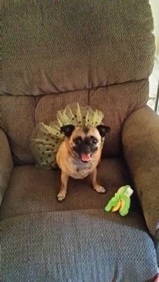 JanetCa02399692's profile picture. 