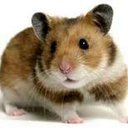 Felipe Postigo - @Felipepostigou - Twitter