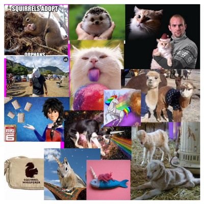 squirrelhorse's profile picture. MainAccount: @emily_erirish |Squirrels, Rainbows, Awesomeness, Unicorns, funny things, cute things, ETC., is everything you will get in this account|YourAwesome